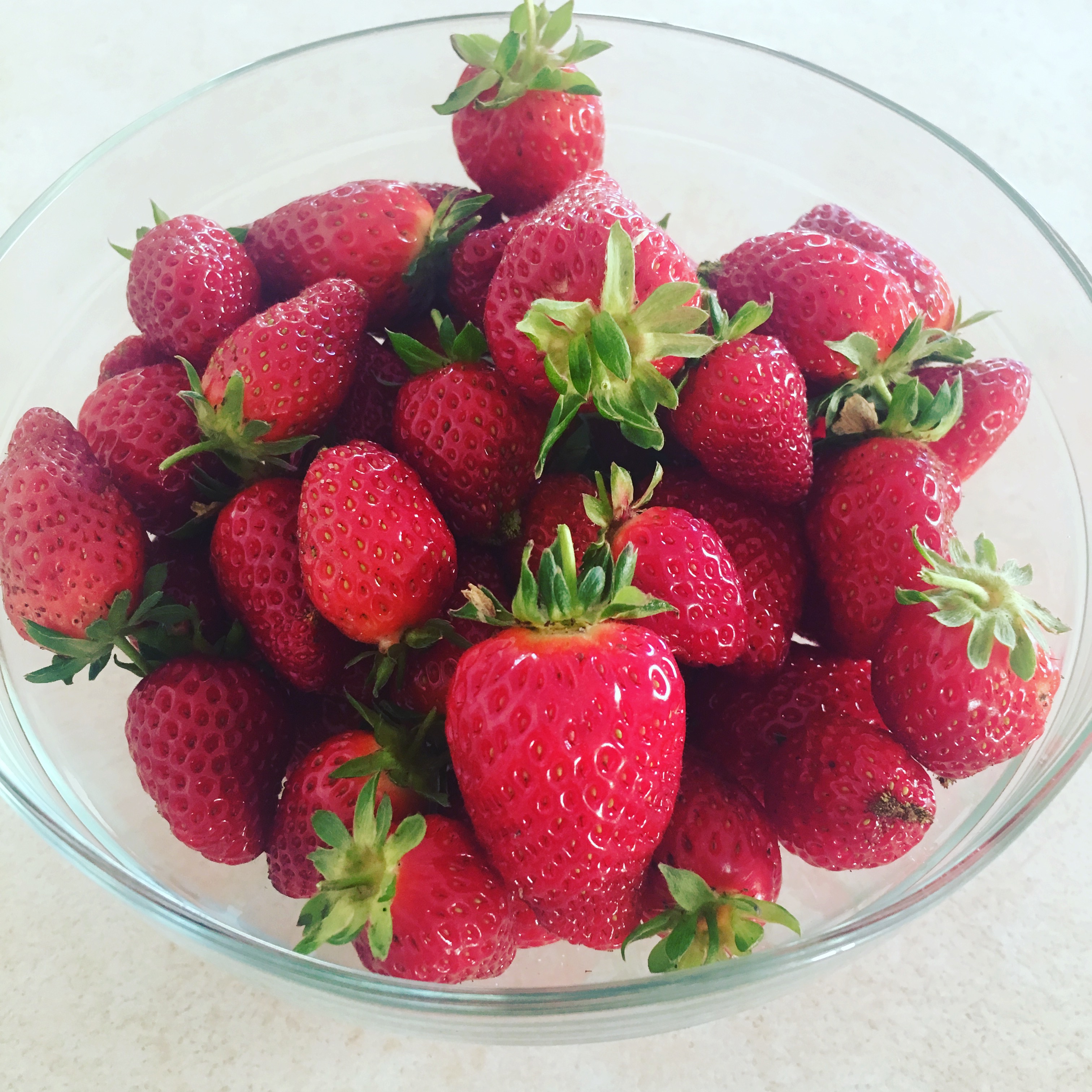 Edible Garden – Spring 2017 Edition